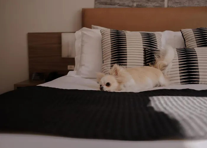 Hotel Acores Premium- 5 Minutos Do Moinhos De Vento 4*